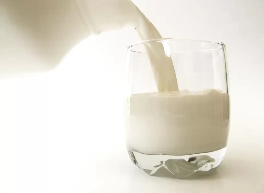 Dairy sector and SC government outline plans to expand exports