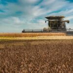 With harvest scheduled for March, soybeans are being sold well in Bahia