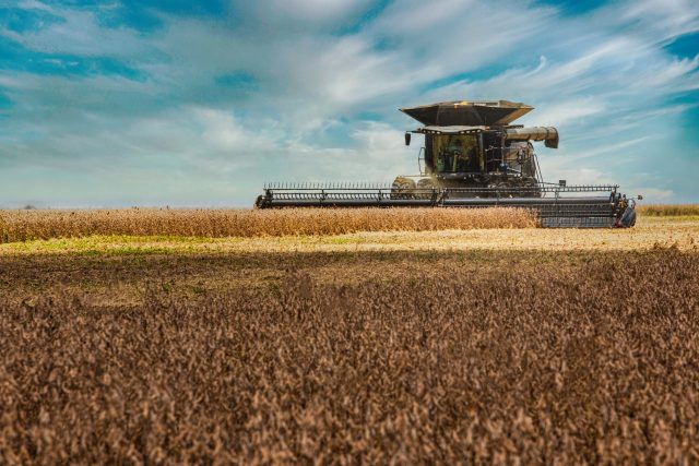 With harvest scheduled for March, soybeans are being sold well in Bahia