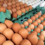 Brazil will not face egg shortage, says ABPA