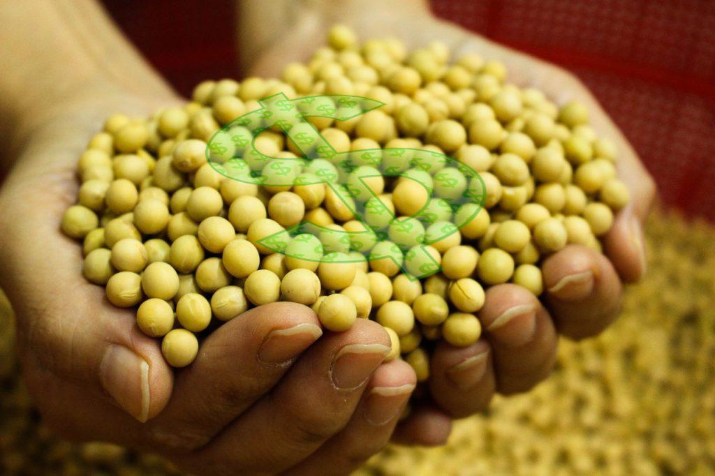 Soybean seed and fertilizer prices expected to fall, says Imea