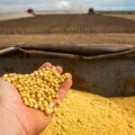 In Paraná, Deral cuts estimates for soybeans, summer corn and second-crop corn