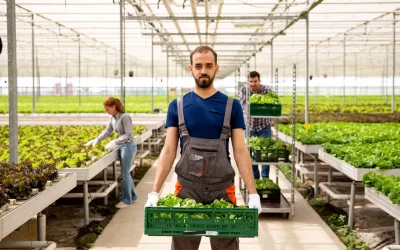 Número de trabalhadores no agronegócio é recorde, diz Cepea