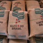 Opportunities for Micro and Small Specialty Coffee Producers: Expansion Through Exports