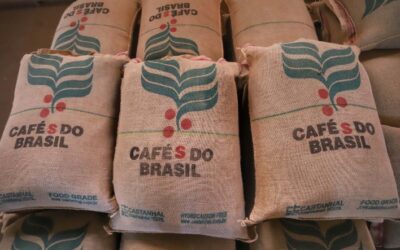 Oportunidades para Micro e Pequenos Produtores de Cafés Especiais: Expansão Através da Exportação