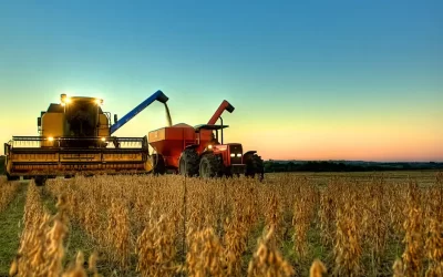 A importância do cooperativismo no agro brasileiro