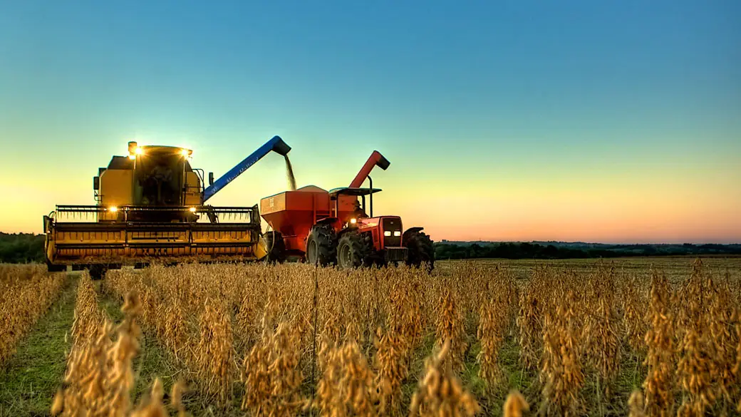 A importância do cooperativismo no agro brasileiro