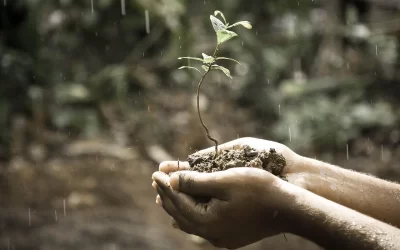 Bioinsumos podem gerar economia de US$ 5,1 bi anuais ao agro brasileiro