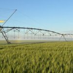 Expansion of irrigated area in Brazil could generate R$37.1 billion more in GDP