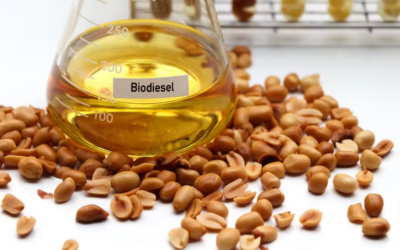 Biodiesel estimula aportes bilionários até 2027