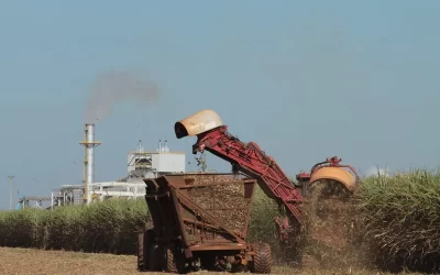 Preços do etanol e do açúcar sobem no início de 2025