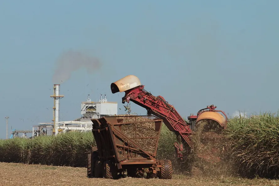 Preços do etanol e do açúcar sobem no início de 2025